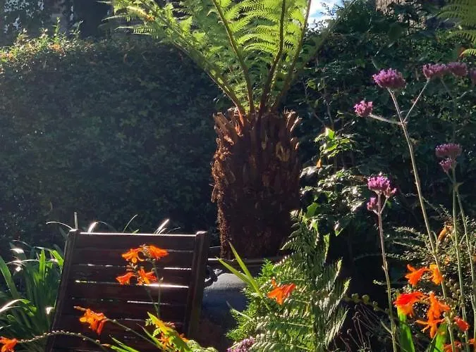 Baytree House Guest house 4*