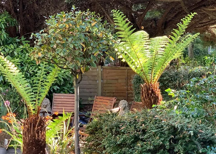 Guest house Baytree House Harrogate