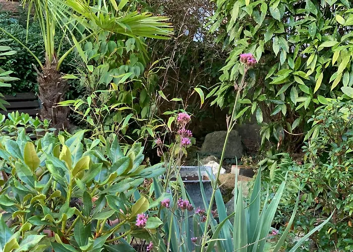 Guest house Baytree House