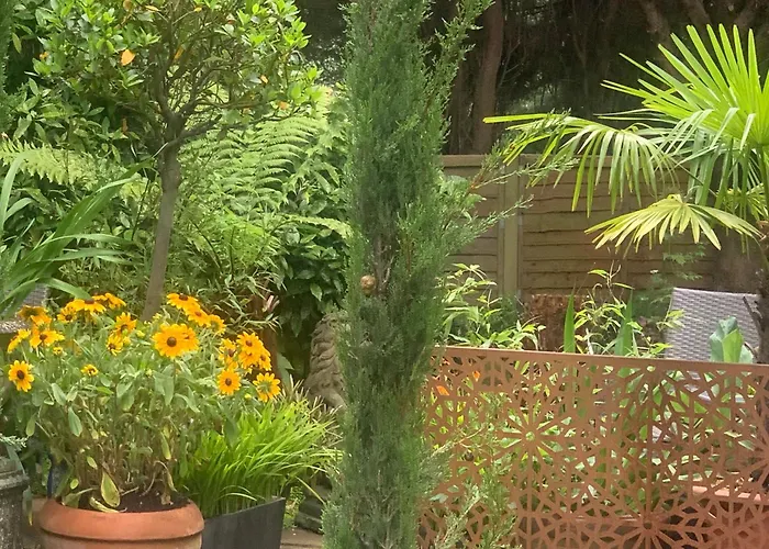 Baytree House Guest house