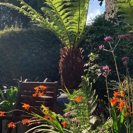 Baytree House Guest house 4*