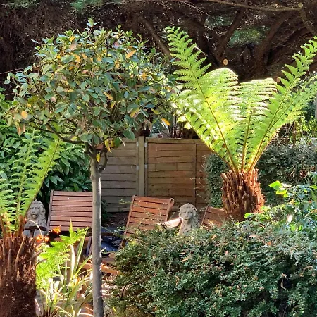 게스트하우스 Baytree House 해러게이트