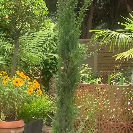 Baytree House 게스트하우스